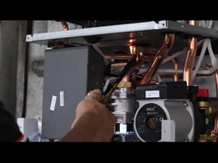 OEM Caldaia a gas a parete di combustione variabile e bilanciata per case e aziende